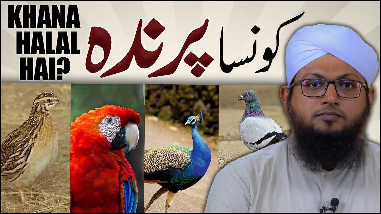 Konsa Parinda Khana Halal Hai?